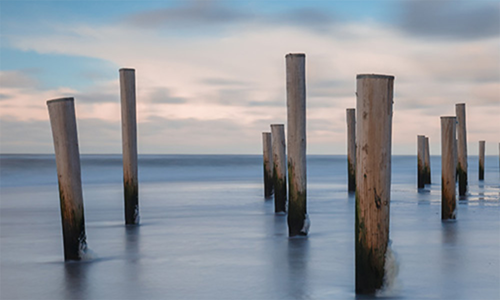 Coaching Mindful Work & Life